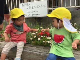 IMG_9953.jpeg